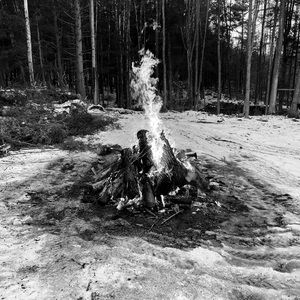 Meet your Posher, Madelyn